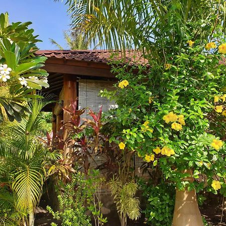 Waiara Village Guesthouse Maumere Esterno foto